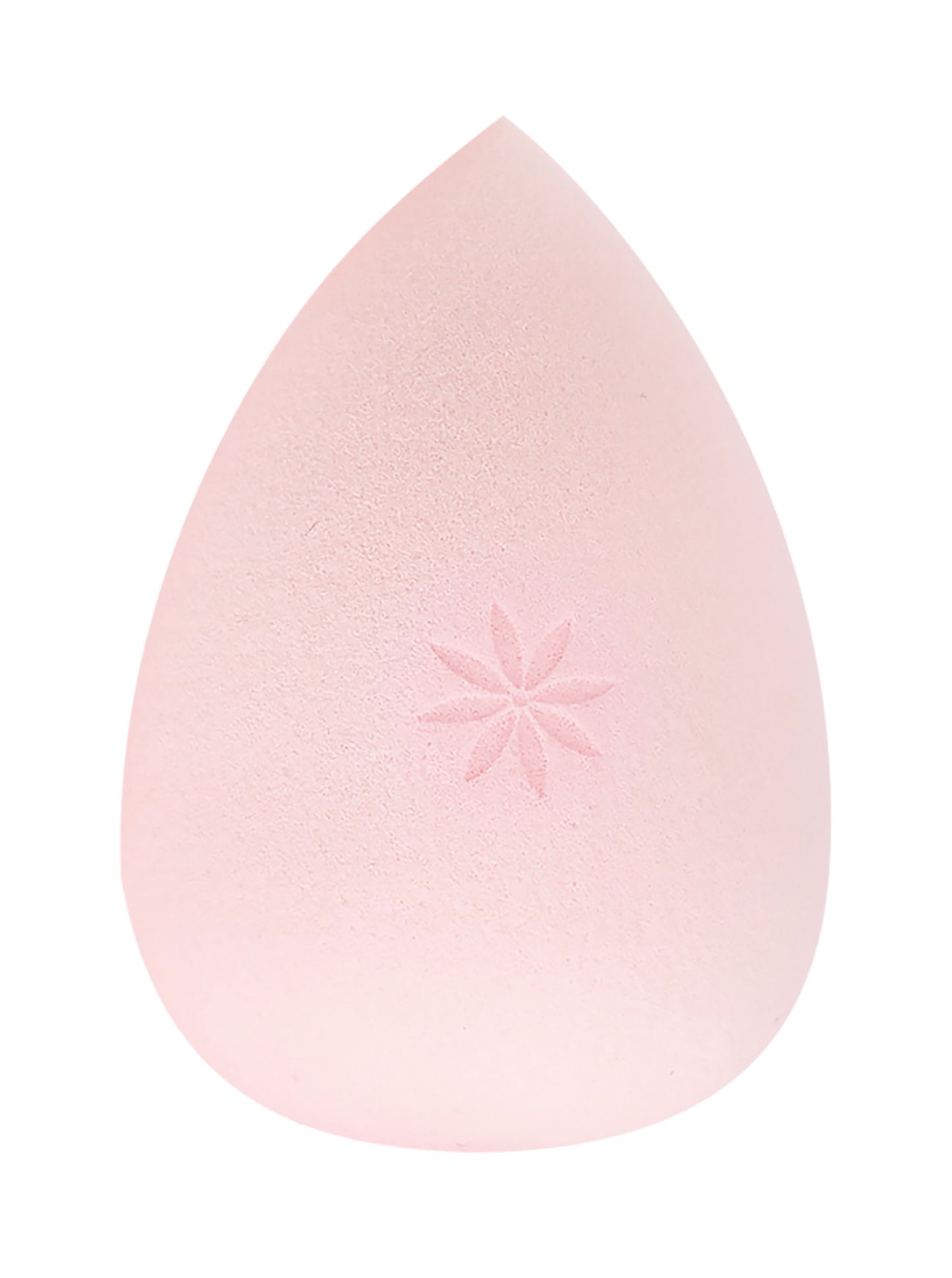 52 56 007 Brushworks Complexion Sponge OOP.jpg