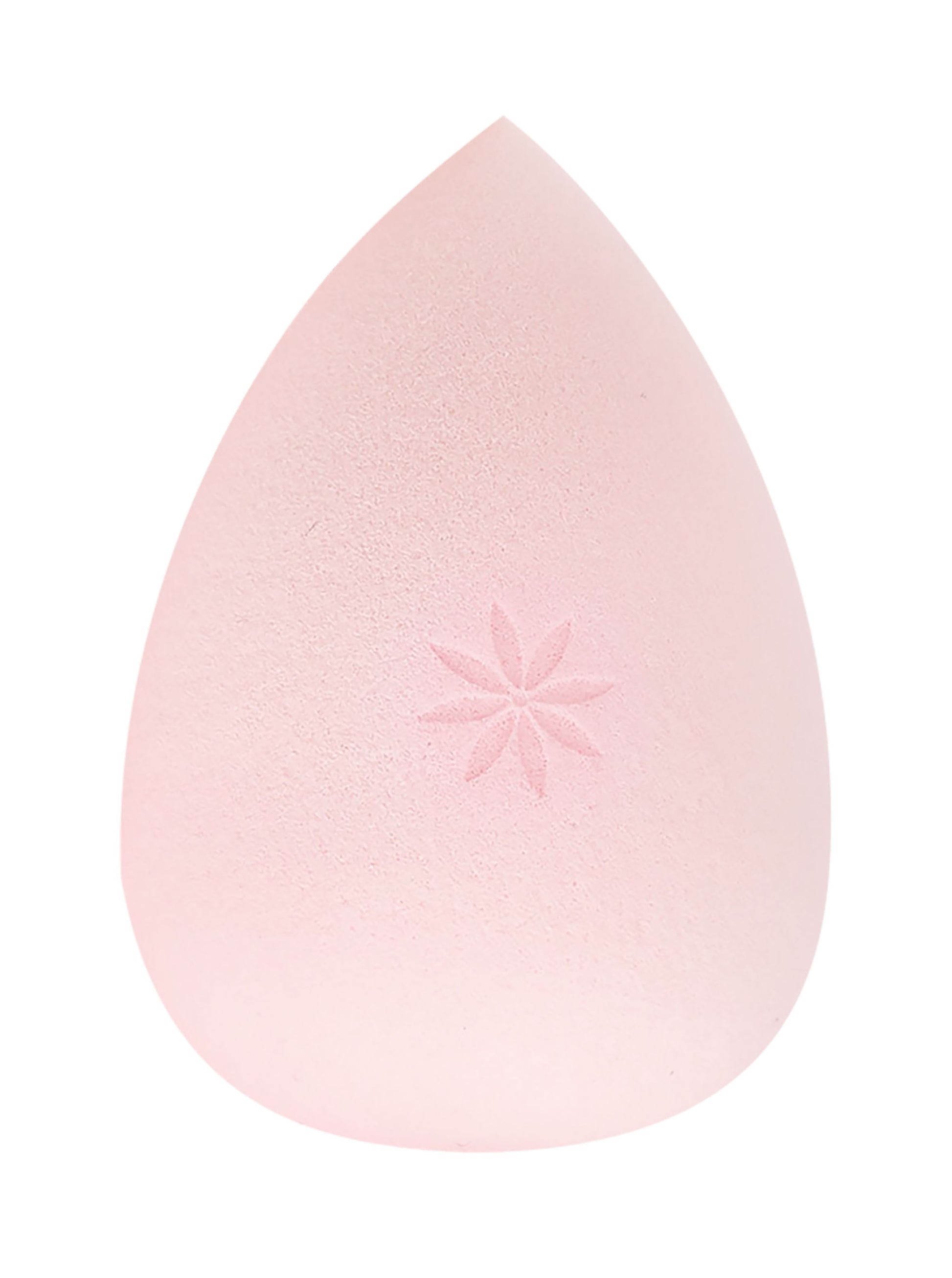 52 56 007 Brushworks Complexion Sponge OOP.jpg