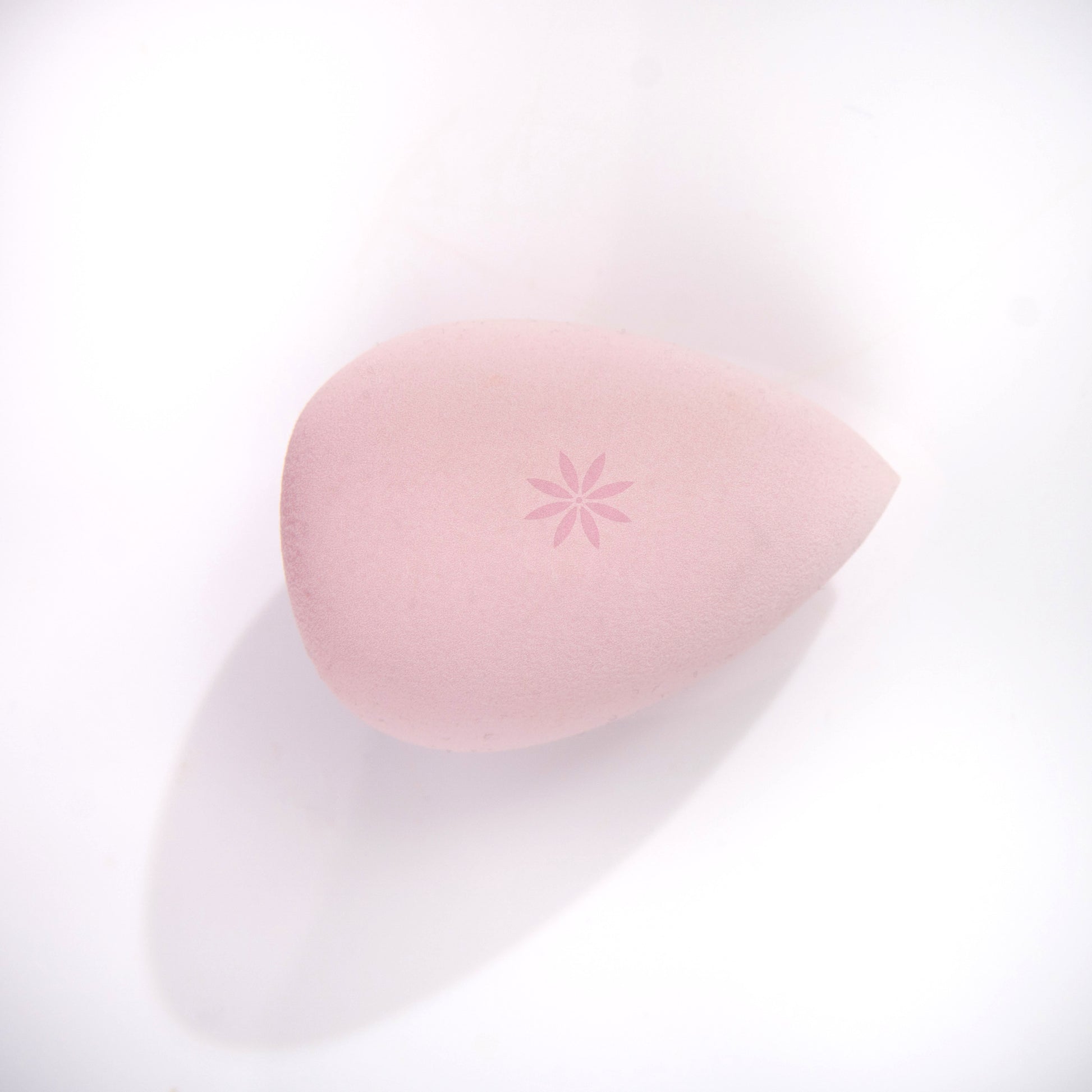 52 56 007 Brushworks Complexion Sponge OOP (2).jpg