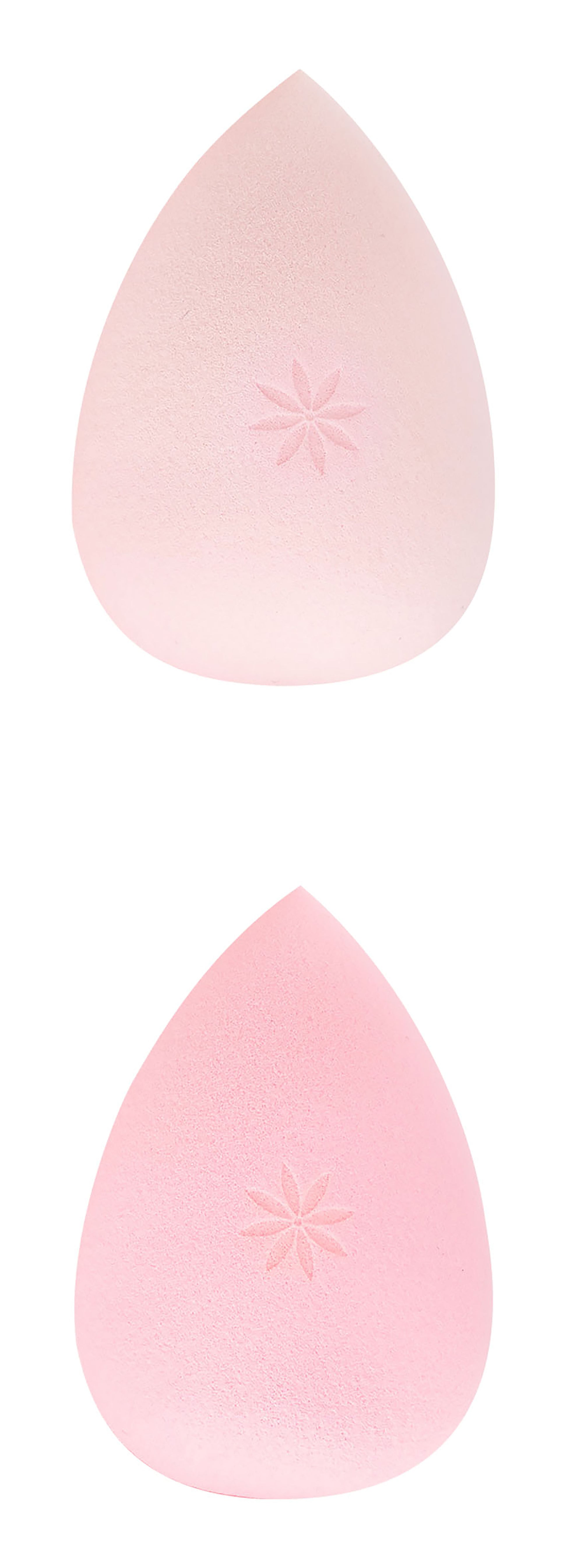 52 56 044 Brushworks Complexion Sponge Duo OOP.jpg