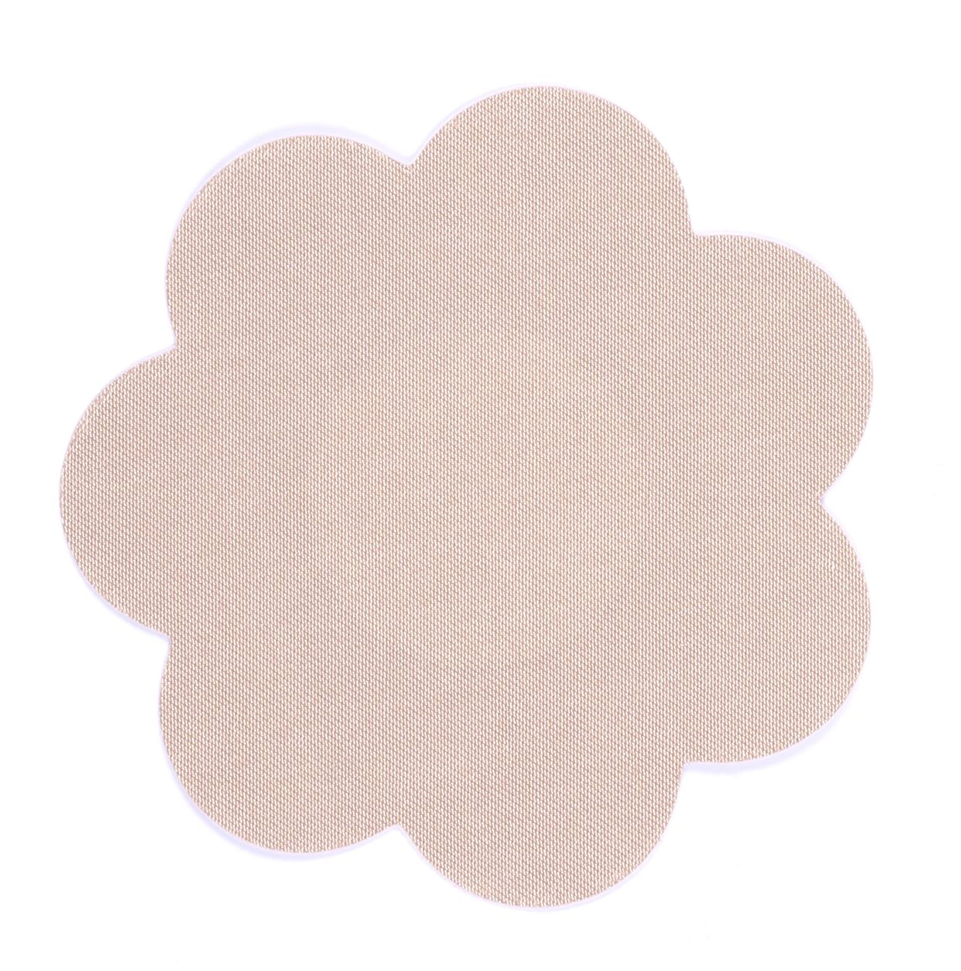 52 56 281 Brushworks Nude Satin Nipple Covers OOP (1).jpg