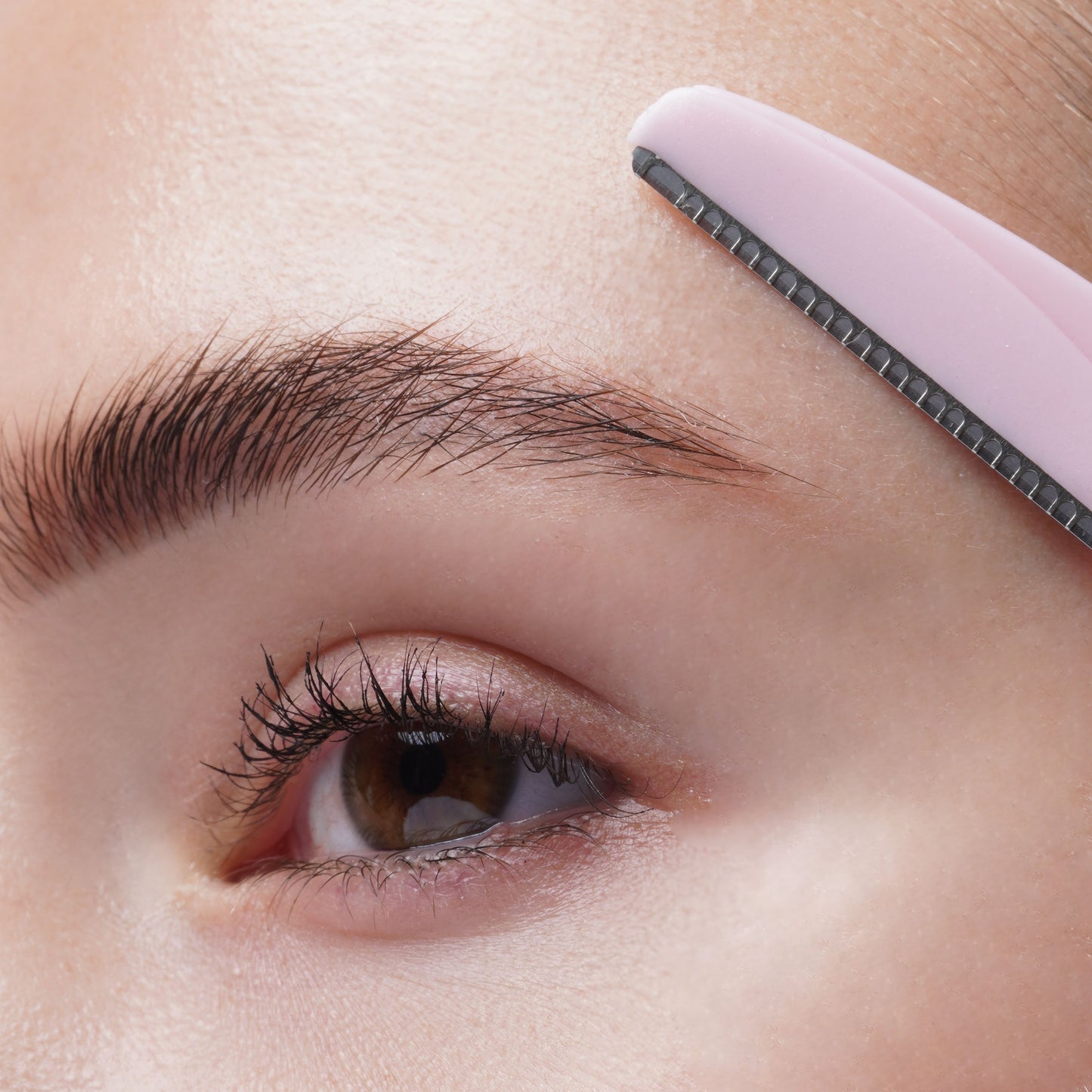 52 56 408 Brushworks Angled Dermaplaners MS (3).jpg