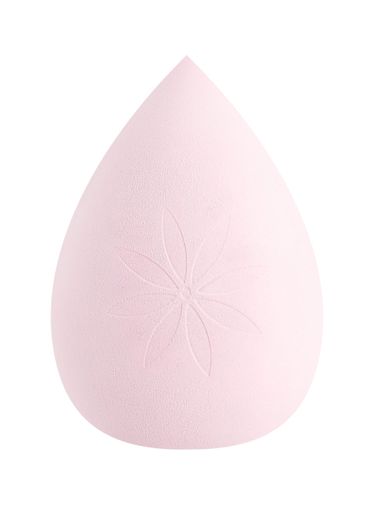52 56 540 Brushworks XL Complexion Sponge OOP.jpg