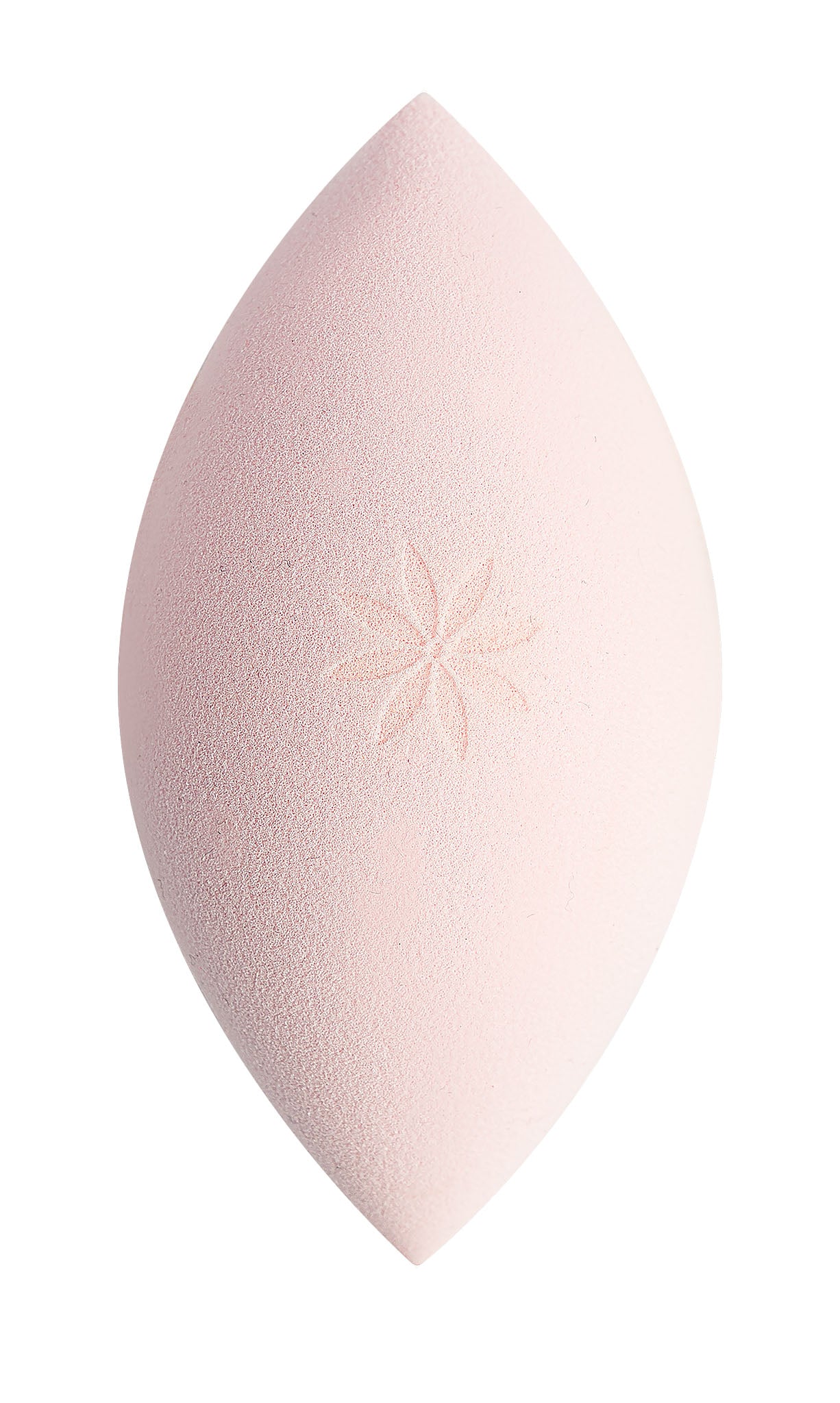 52 56 560 Brushworks Oval Precision Sponge OOP.jpg