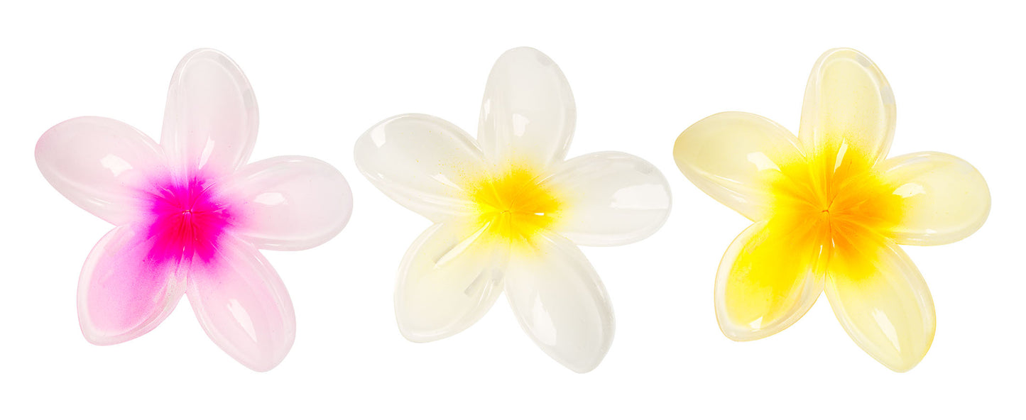 52 56 589 Brushworks Tropical Flower Claw Clips OOP.jpg