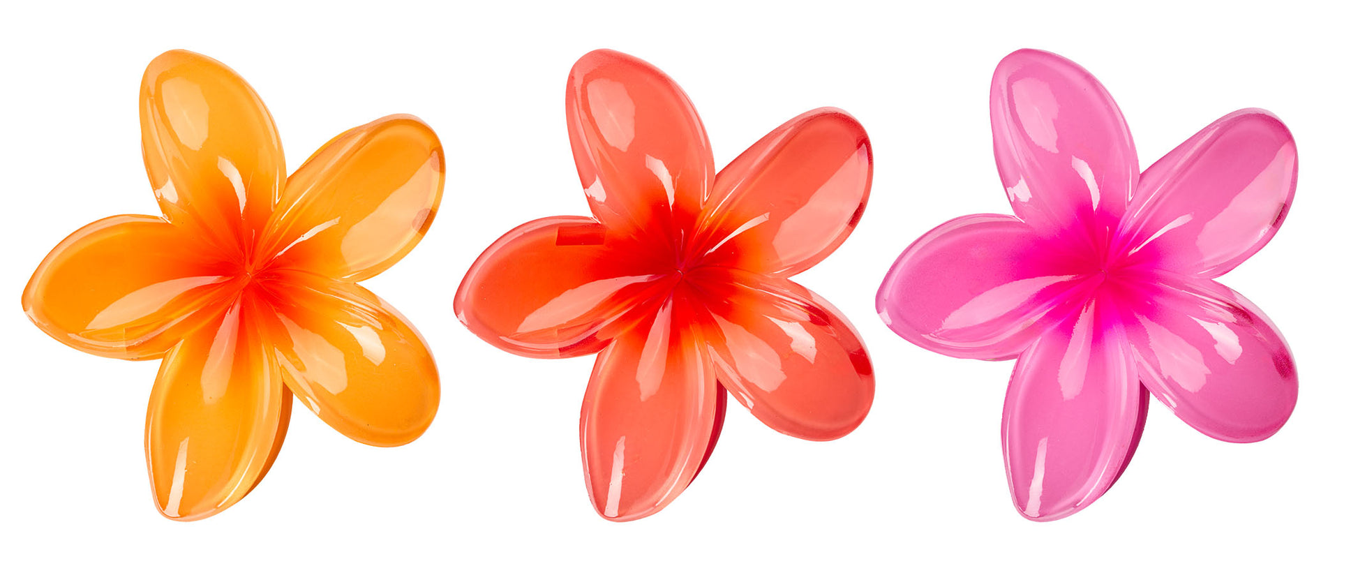 52 56 609 Brushworks Bright Flower Claw Clips OOP.jpg